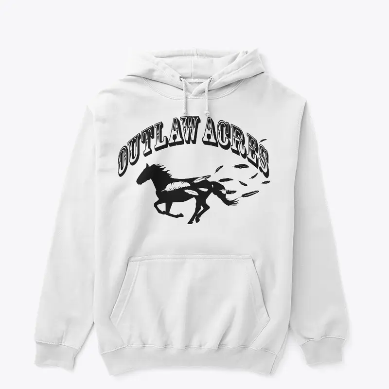 Outlaw Acres Feather Horse