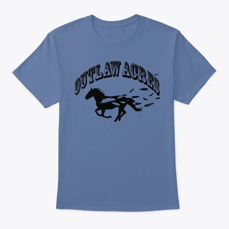 Outlaw Acres Feather Horse